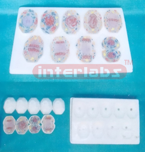 ADVANCED ANIMAL MEIOSIS MODELS